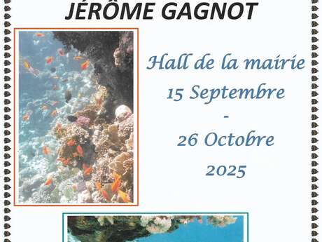 Exposition de photographies sous-marines