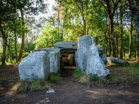 Le Dolmen de Mané-Croc'h