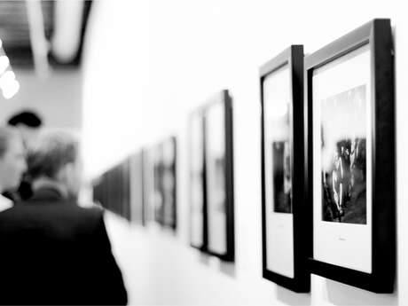 Exposition "La Chouette artiste"
