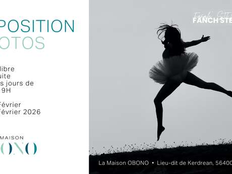 Exposition Fanch Stéphant à La Maison OBONO