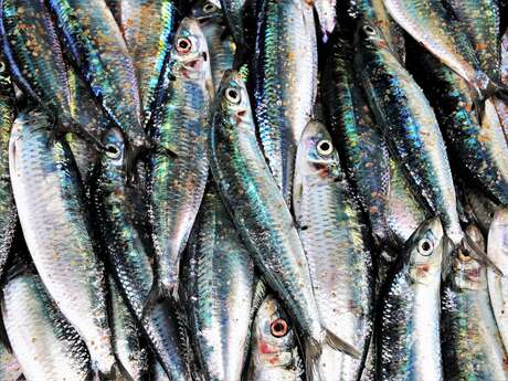 Fête de la Sardine