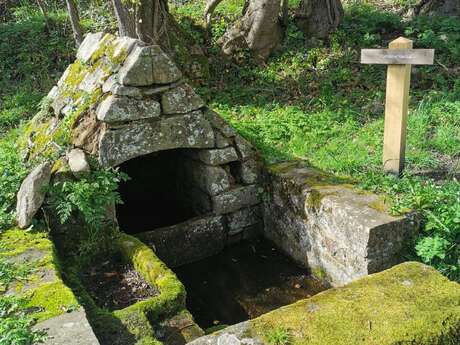 Fontaine et calvaire de Kerluir