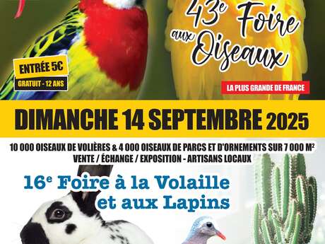 Foire aux oiseaux, volailles, lapins et plantes
