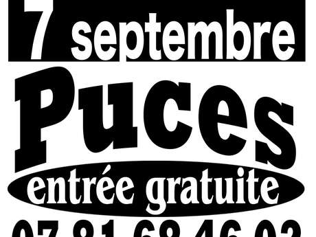 Foire aux puces