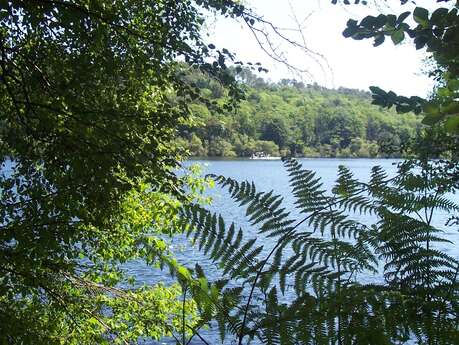 Lac de Guerlédan