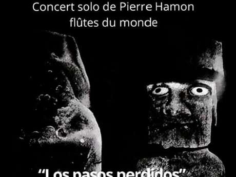 Concert Pierre HAMON