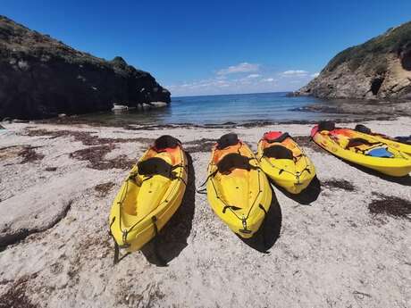 Vives Eaux - Kayak de mer et Paddle