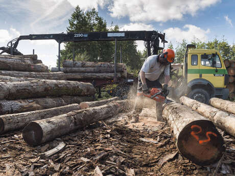 Visite de la scierie Jarno Bois