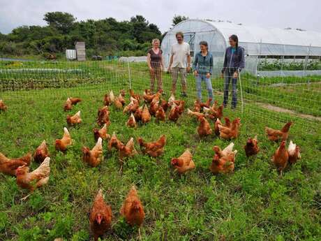 Découverte d'une micro-ferme Les Graines de Saint Germain