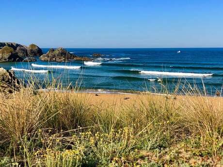 TY SCHOOL, école de surf et stand up paddle de Belle ile en mer