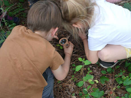 Atelier en forêt