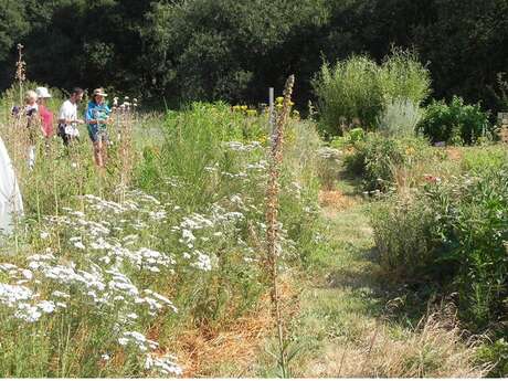 L'Instant Plantes