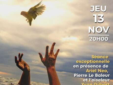 Les Oiseaux de Pluie - Séance exceptionnelle