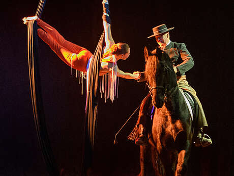 Les chevaux dansent à la bodega - cabaret équestre