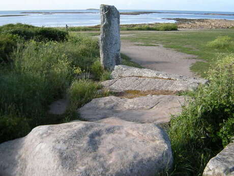 Visite guidée des vestiges mégalithiques de Locmariaquer