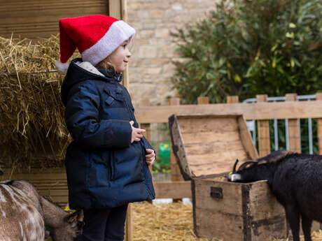 Mini ferme de Noël