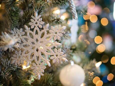 Marché et spectacle de Noël - La Féerie de Noël | Saint-Congard