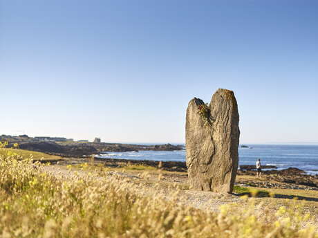 Menhirs de Beg Er Goh Lannec