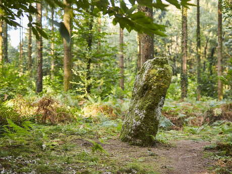 Menhir Men Bihan