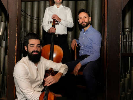 Concert "Trio Orpheus"