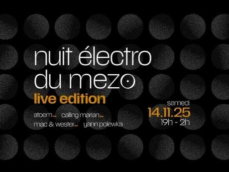 Nuit électro du mezo
