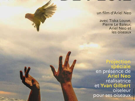 Ciné-rencontre autour du film « Les oiseaux de pluie »