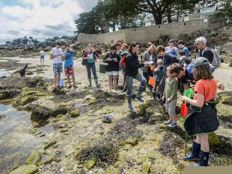 Initiation à la pêche à pied