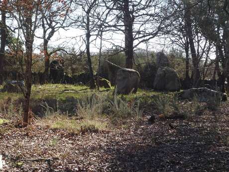 Les Menhirs de Kerjean