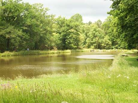 Parc de Mané-Bogad à Ploemel