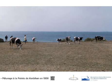 Exposition photos à la Pointe de Kerbihan