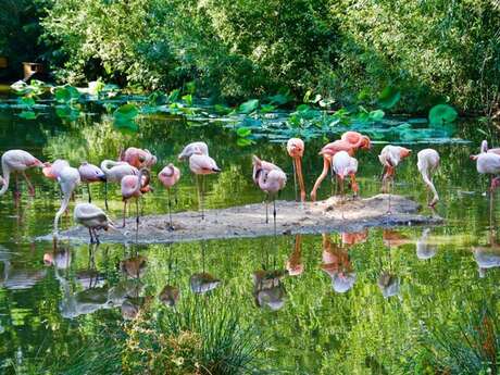 Branféré : Parc animalier et botanique - Parcabout