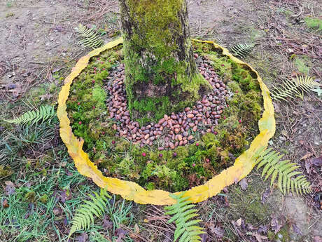 Land Art sous les arbres
