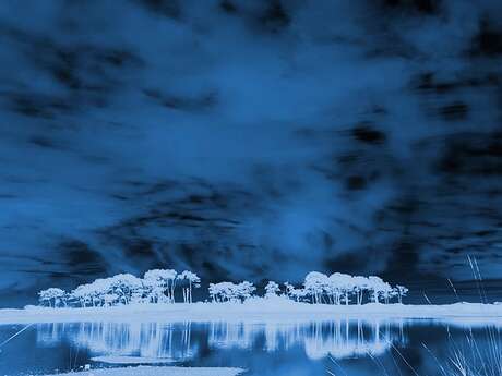 Exposition Les Bleues