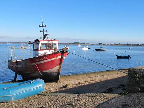 Port de plaisance de Pénerf-Damgan