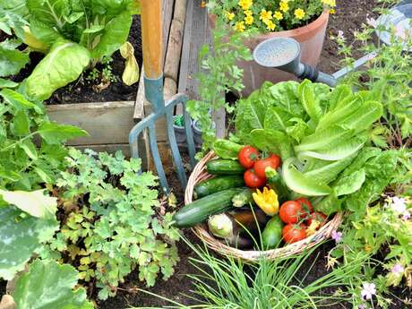 Aménager son potager avec la permaculture
