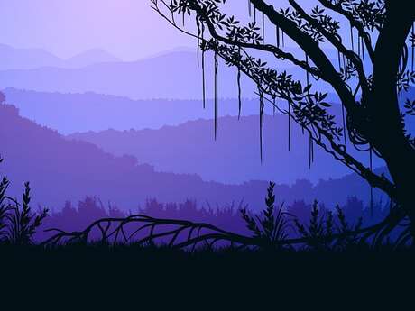 Randonnée nocturne de Noël