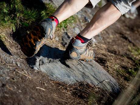 Randonnée pédestre