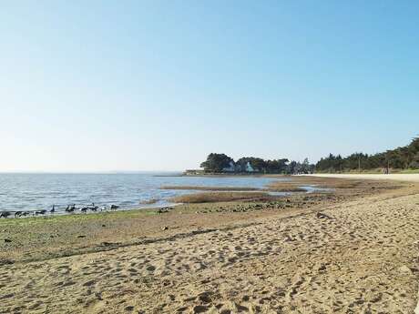 Plage de Lasné