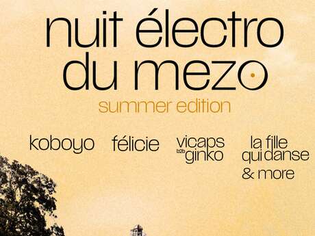 Nuit électro d'été