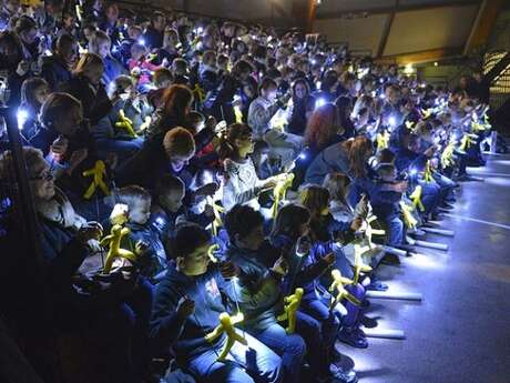 Spectacle famille  « Le ballet du Montreur »