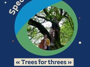 Spectacle : Trees for threes