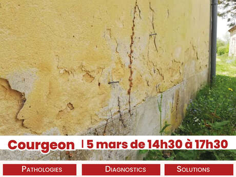 Les RDV Eco-rénovation : Gestion de l'humidité