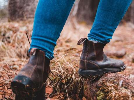 Marche pour le Téléthon - Lions Club