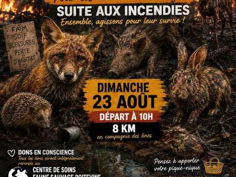 Marche solidaire