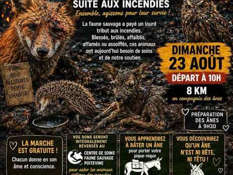 Marche solidaire