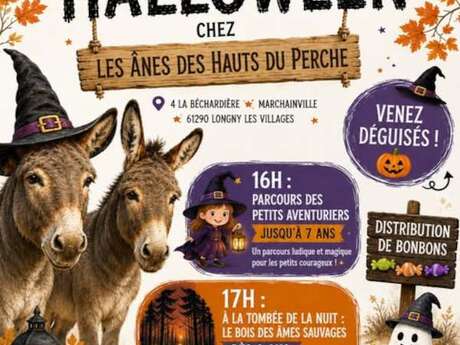 Halloween chez les Anes des Hauts du Perche