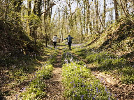 Explorateurs d’un jour : balade nature au Tertre Sainte-Anne