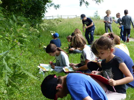Les petits botanistes dans la lande