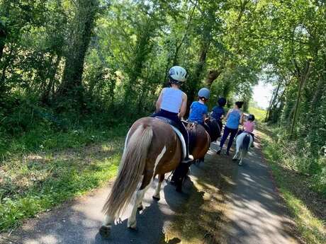 Tours de poneys et activités ludiques Tours de poneys et activités ludiques