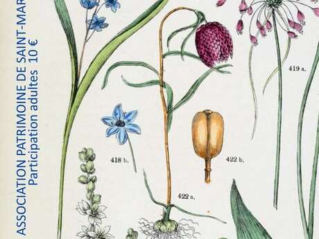 Randonnée botanique